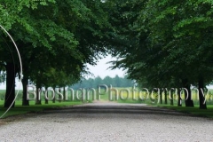 IMG_8295-Version-2