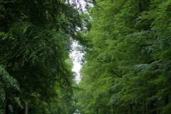 IMG_8645