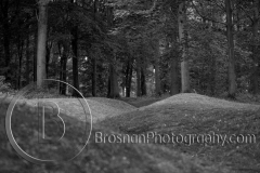 IMG_8668