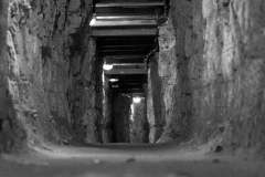 IMG_8765